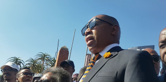 Mduduzi Manana resigns as MP